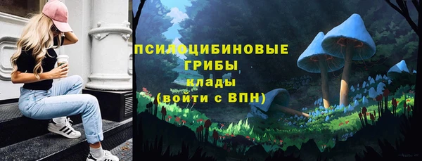 экстази Корсаков