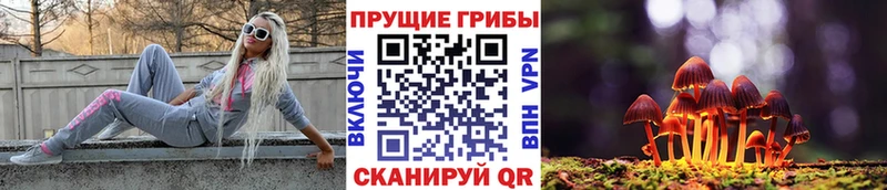 Псилоцибиновые грибы Psilocybe  что такое наркотик  Лебедянь 